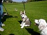 P1010027.JPG