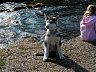 P1010030.JPG