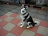 P1010168.JPG