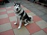P1010170.JPG